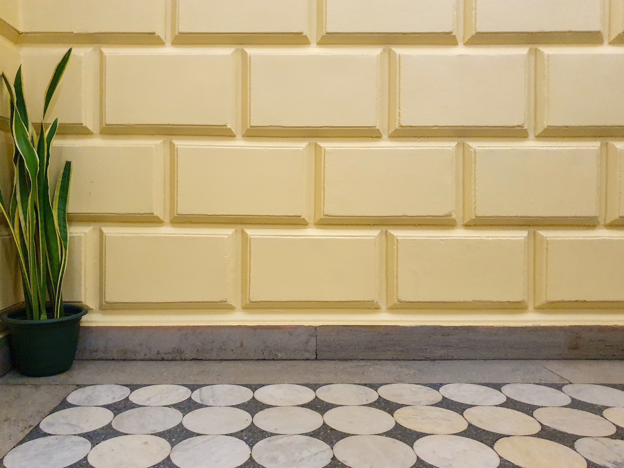 A houseplant in a flowerpot stands on a tiled floor in front of a yellow brick wall.
